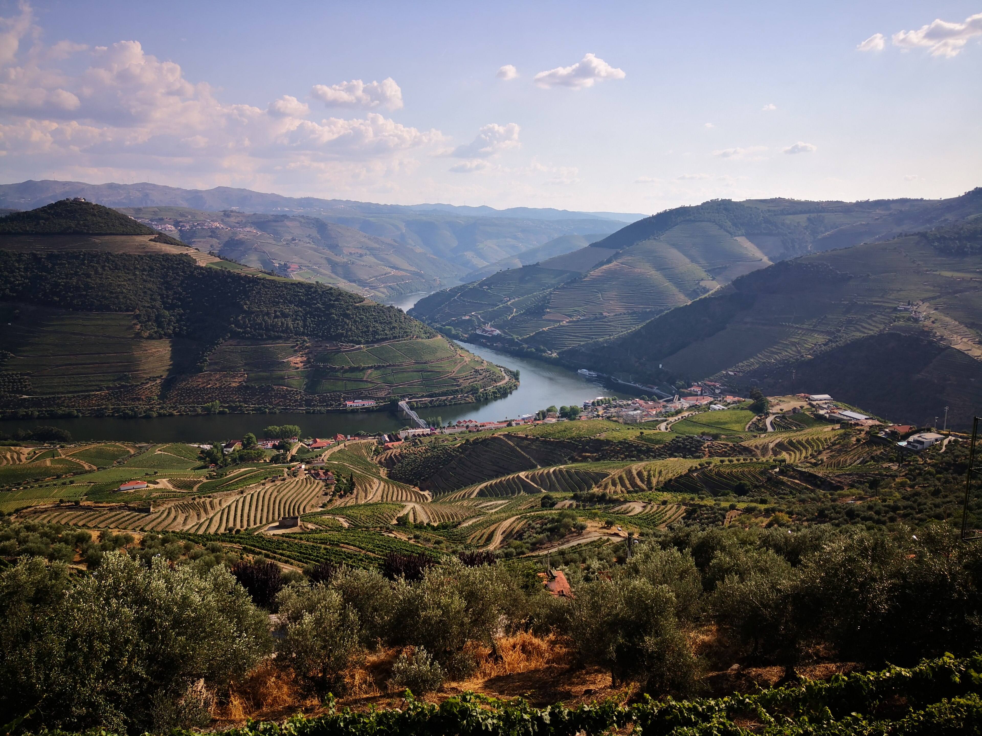 The view from Casal de Loivos over terraced slopes and the Douro near Pinhão
